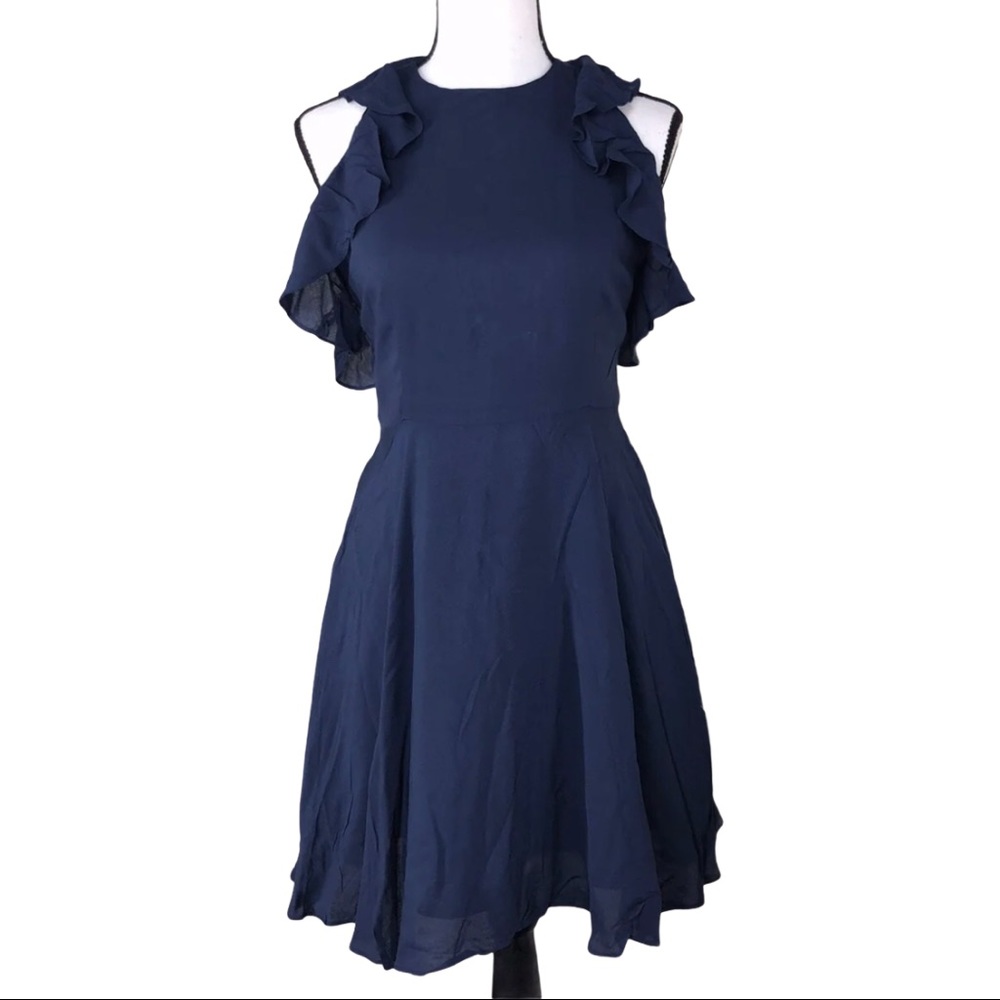 BB Dakota, Samatha Dress, NWT fit & flare size 10 & size 4